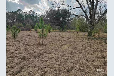 29640 US Highway 98, Elberta, AL 36530 - Photo 16