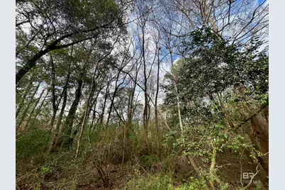 0 Montelucia Way, Daphne, AL 36526 - Photo 18