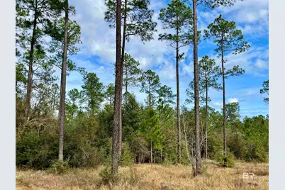 0 Montelucia Way, Daphne, AL 36526 - Photo 8