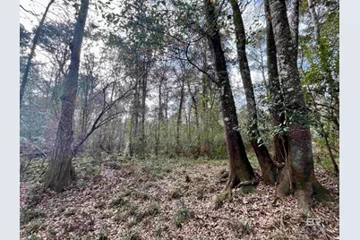 0 Montelucia Way, Daphne, AL 36526 - Photo 16