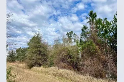 0 Montelucia Way, Daphne, AL 36526 - Photo 2