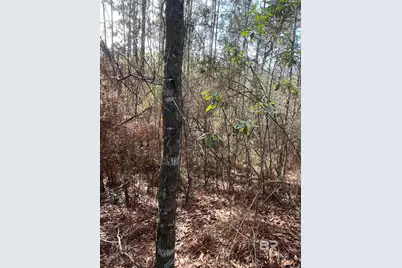 0 Jimmy Faulkner Drive, Spanish Fort, AL 36527 - Photo 8