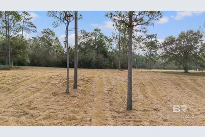 0 E Waterview Drive, Loxley, AL 36551 - Photo 22