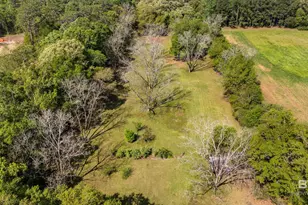 10407 LaLa Rd, Daphne, AL 36526 - Photo 46