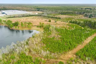 30380 Co Rd 49, Loxley, AL 36551 - Photo 4