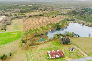 30380 Co Rd 49, Loxley, AL 36551 - Photo 10