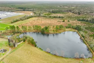 30380 Co Rd 49, Loxley, AL 36551 - Photo 10