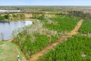 30380 Co Rd 49, Loxley, AL 36551 - Photo 2