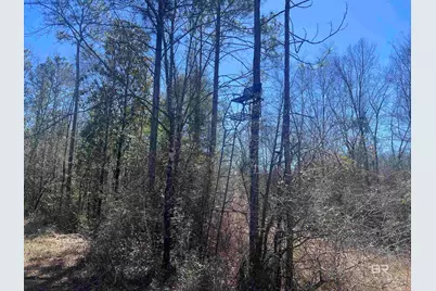 9 Robinsonville Road, Atmore, AL 36502 - Photo 18