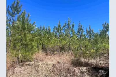 9 Robinsonville Road, Atmore, AL 36502 - Photo 20