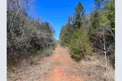 9 Robinsonville Road, Atmore, AL 36502 - Photo 24