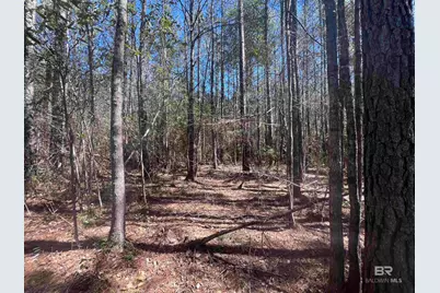 9 Robinsonville Road, Atmore, AL 36502 - Photo 26
