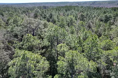 9 Robinsonville Road, Atmore, AL 36502 - Photo 8