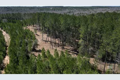 9 Robinsonville Road, Atmore, AL 36502 - Photo 1