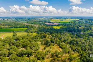 17333 Co Rd 55, Summerdale, AL 36580 - Photo 46