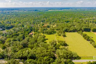 17433 Co Rd 55, Summerdale, AL 36580 - Photo 46