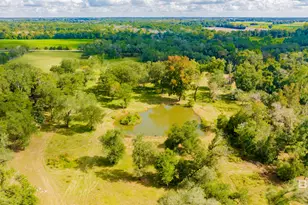 17333 Co Rd 55, Summerdale, AL 36580 - Photo 42