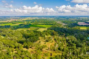 17433 Co Rd 55, Summerdale, AL 36580 - Photo 42