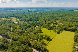17425 Co Rd 55, Summerdale, AL 36580 - Photo 92