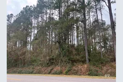 3000 Block N Pine Barren Road, McDavid, FL 32568 - Photo 4