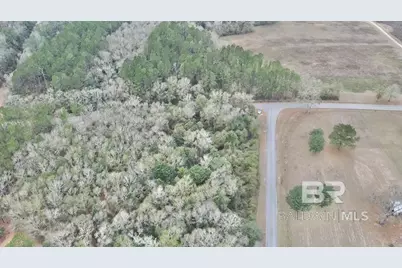 3000 Block N Pine Barren Road, McDavid, FL 32568 - Photo 10