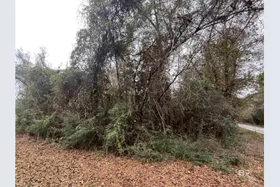 3000 Block N Pine Barren Road, McDavid, FL 32568 - Photo 6