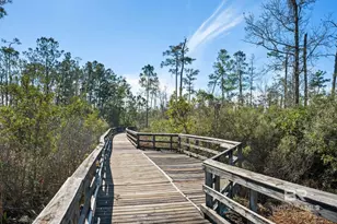14116 Pandion Dr, Foley, AL 36535 - Photo 54