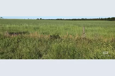 0000 County Road 91, Elberta, AL 36530 - Photo 4
