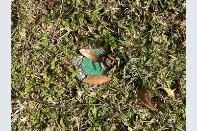 5055 Overlook Road, Mobile, AL 36618 - Photo 26