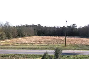 0 Hwy 31, Atmore, AL 36502 - Photo 6