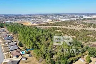 373 Collinwood Loop, Foley, AL 36535 - Photo 54