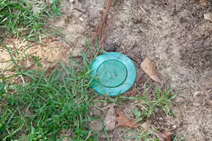 9505 Vargas Ct, Daphne, AL 36526 - Photo 58