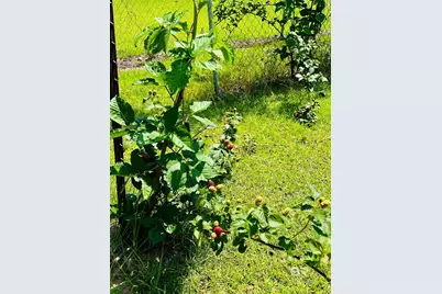 7860 Cliff's Landing Road, Bay Minette, AL 36507 - Photo 40