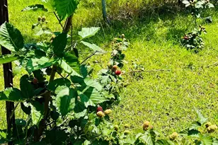 7860 Cliffs Landing Rd, Bay Minette, AL 36507 - Photo 40