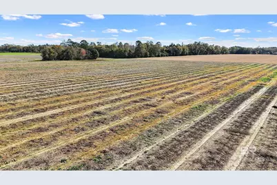 0 US Highway 98, Elberta, AL 36530 - Photo 6