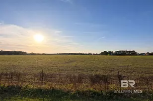 0 County Road 54, Daphne, AL 36526 - Photo 1