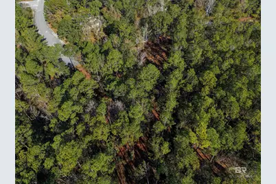 805 Mossy Oak Drive, Gulf Shores, AL 36542 - Photo 4