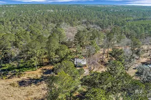 23532 Dunbar Rd, Robertsdale, AL 36567 - Photo 4