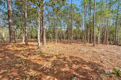 0 County Road 97, Perdido Beach, AL 36530 - Photo 6