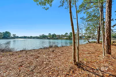 0 County Road 97, Perdido Beach, AL 36530 - Photo 4