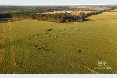 0000 County Road 91, Elberta, AL 36530 - Photo 4