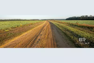 0000 County Road 91, Elberta, AL 36530 - Photo 10