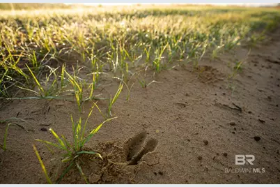 0000 County Road 91, Elberta, AL 36530 - Photo 16