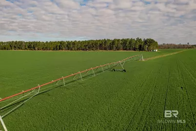 0000 County Road 91, Elberta, AL 36530 - Photo 2