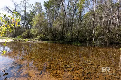 0000 County Road 91, Elberta, AL 36530 - Photo 14