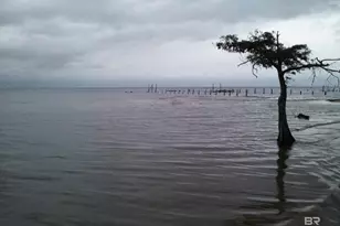 32523 Revere Dr, Spanish Fort, AL 36527 - Photo 38