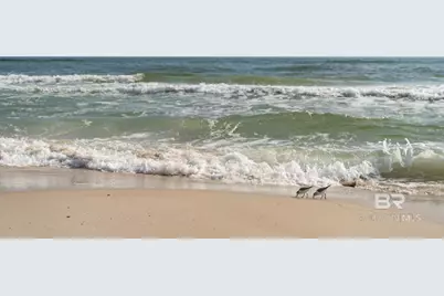 31655 Bramshell Drive, Spanish Fort, AL 36527 - Photo 42