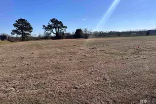 0 Friendship Rd, Daphne, AL 36526 - Photo 2