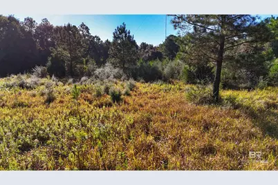 21742 County Road 64, Robertsdale, AL 36567 - Photo 20