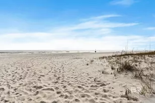 317 E Beach Blvd, Gulf Shores, AL 36542 - Photo 68